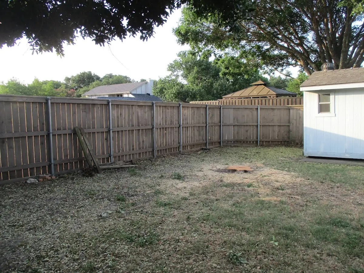 Cleared yard after professional tree removal in South Heights