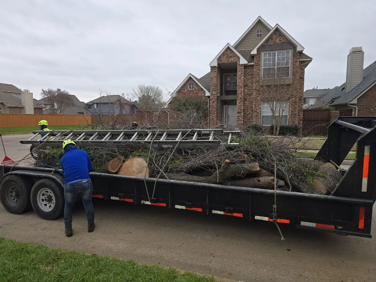 Expert Tree Removal with proper safety equipment in South Heights